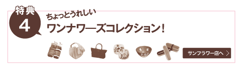 ちょっとうれしいワンナワーズコレクション
