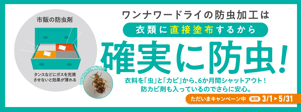 20250301防虫加工